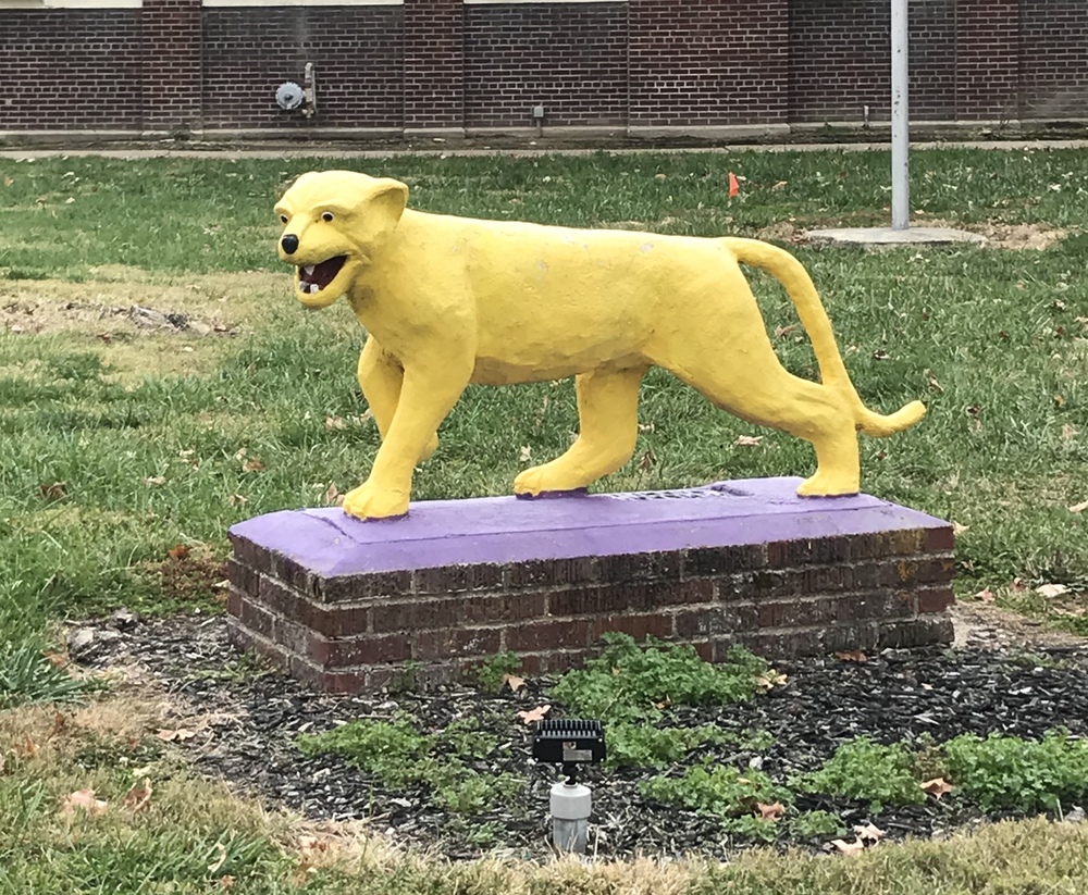 CMSF Wildcat Statue