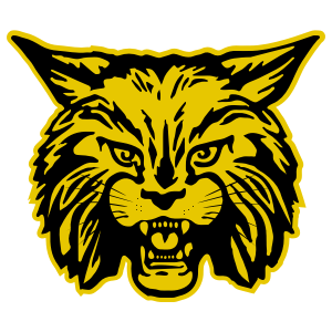 CMSF Gold Wildcat